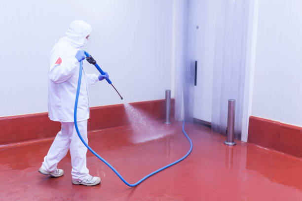 Best Driveway Pressure Washing  in Antigo, WI